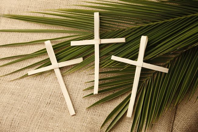 Palm Sunday Sign