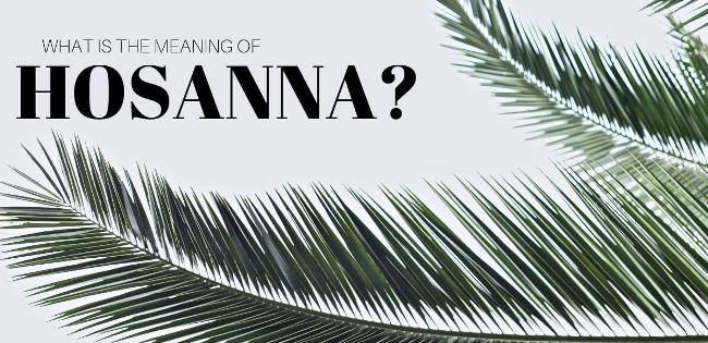 hosanna-in-the-highest-meaning-and-definition-happy-wishes-sayings