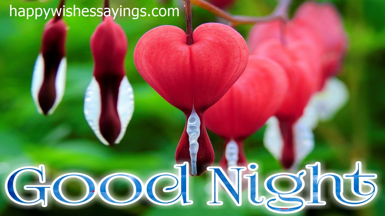 heart touching good night for friends