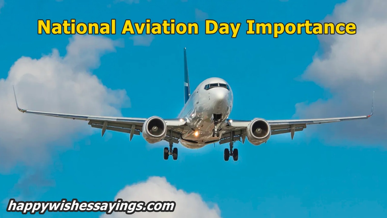 National Aviation Day Importance