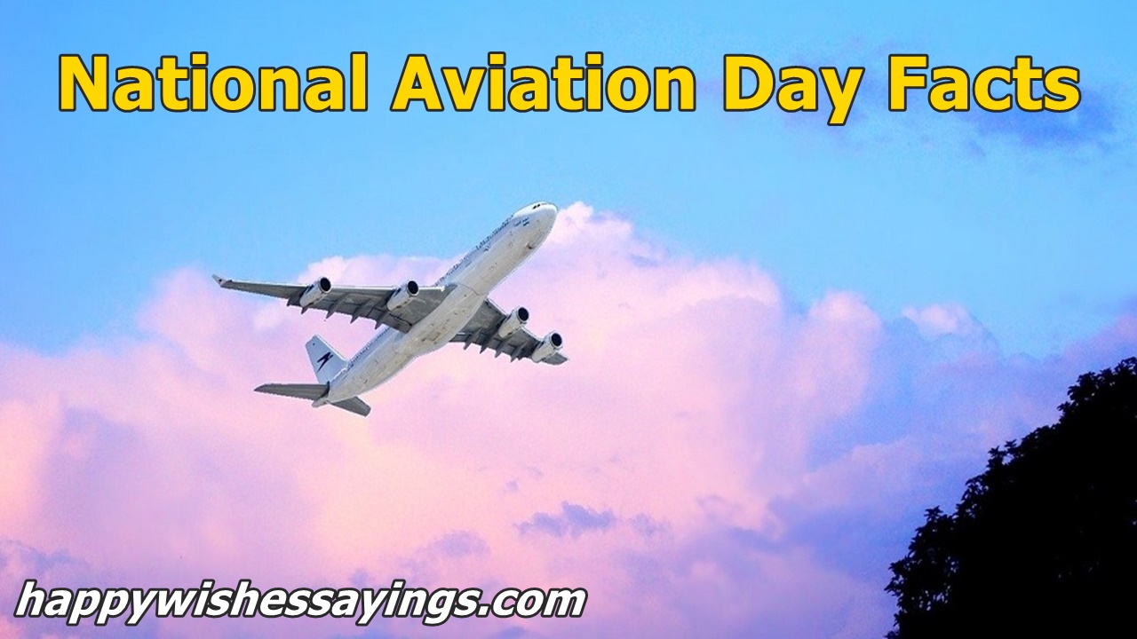 National Aviation Day Facts